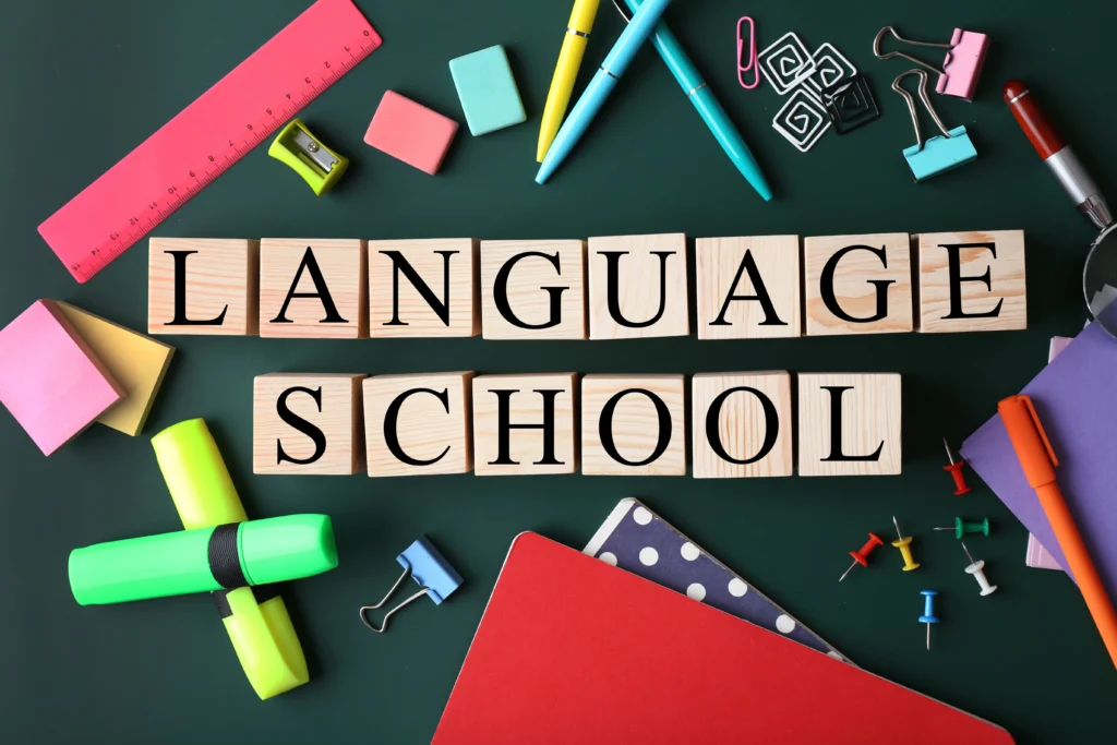 language learning platform